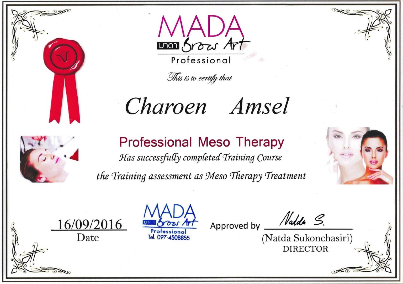 Professional Meso Therapy Zertifikat
